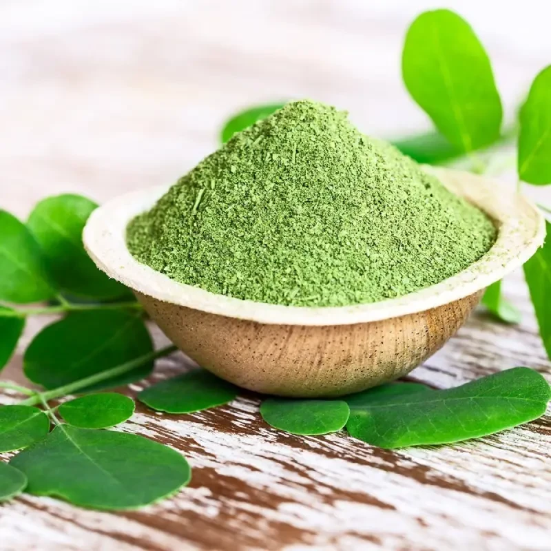 Premium Dried Moringa Leaves – 100% Natural & Nutrient-Rich | Bulk Export Available